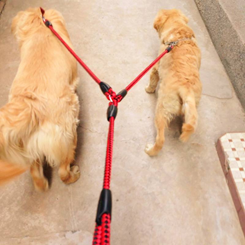 Braided Nylon Dual Dog Leash With Soft Padded Handle