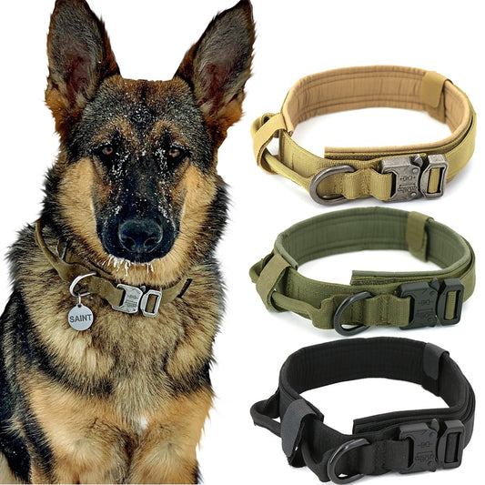 Military Style Tactical Dog Collar
